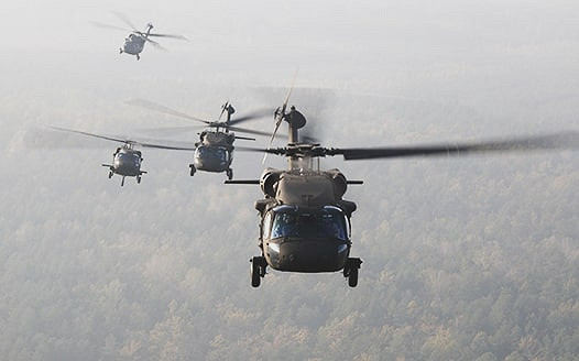 hawk2-min.jpg [21.26 KB]