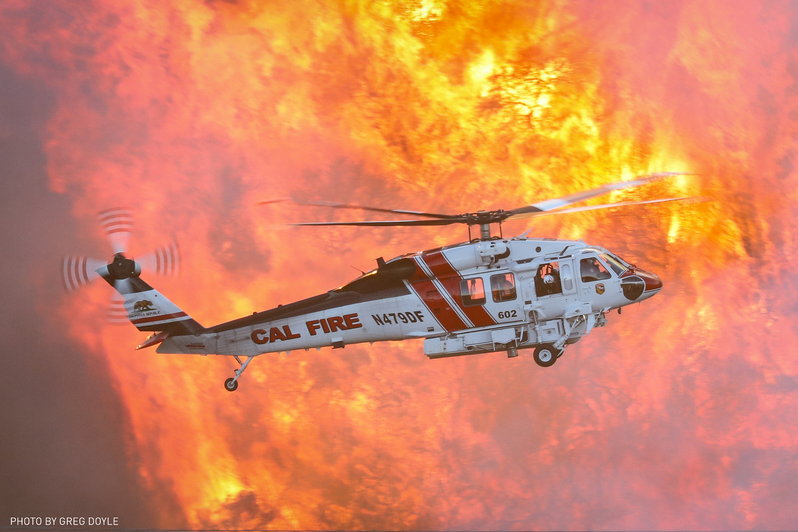 LM OWNED FIREBALL_Credited.jpg [3.31 MB]