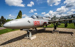 IMG_5525.jpg